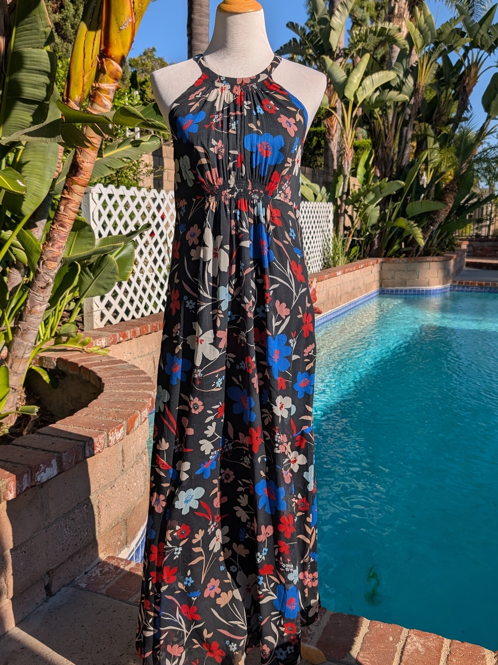 A Pea in the Pod Black Halter Maxi Dress with Blue & Red Floral Print